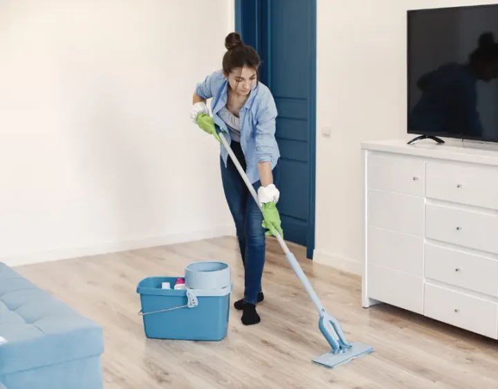 Femme de ménage Chailly-en-Bière